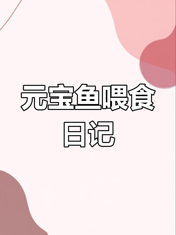 血红虫喂养鹦鹉鱼