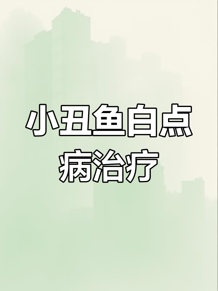 20231105小丑鱼白点病与刺激隐合虫应对