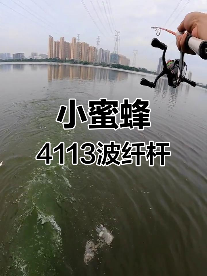 威海小蜜蜂4113波纤竿,轻松钓鱼的秘密武器