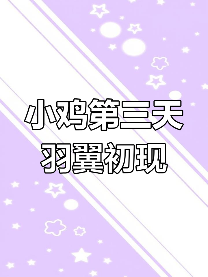 小鸡翅膀长出羽毛，寒冷天气中的成长奇迹