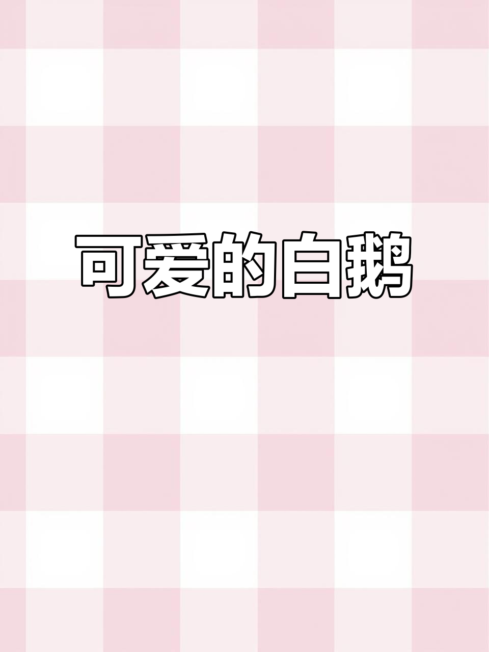 一群大白鹅,五官超可爱!