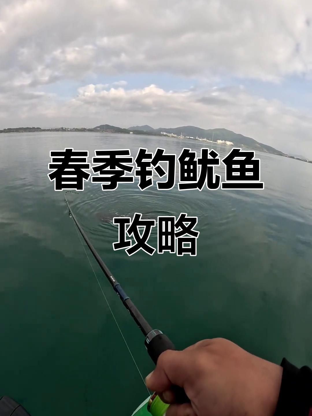 3月钓鱿鱼技巧大揭秘,如何用木虾轻松捕捉墨鱼和大尾鱿