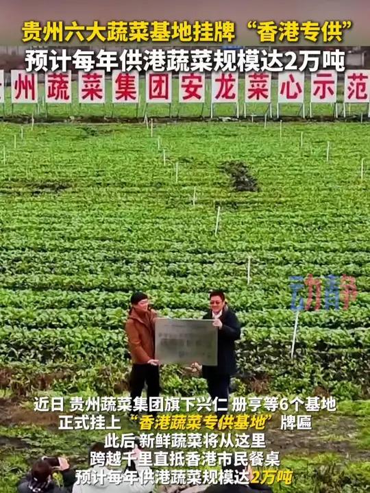 贵州六大蔬菜基地挂牌“香港专供” 预计每年供港蔬菜规模达2万吨