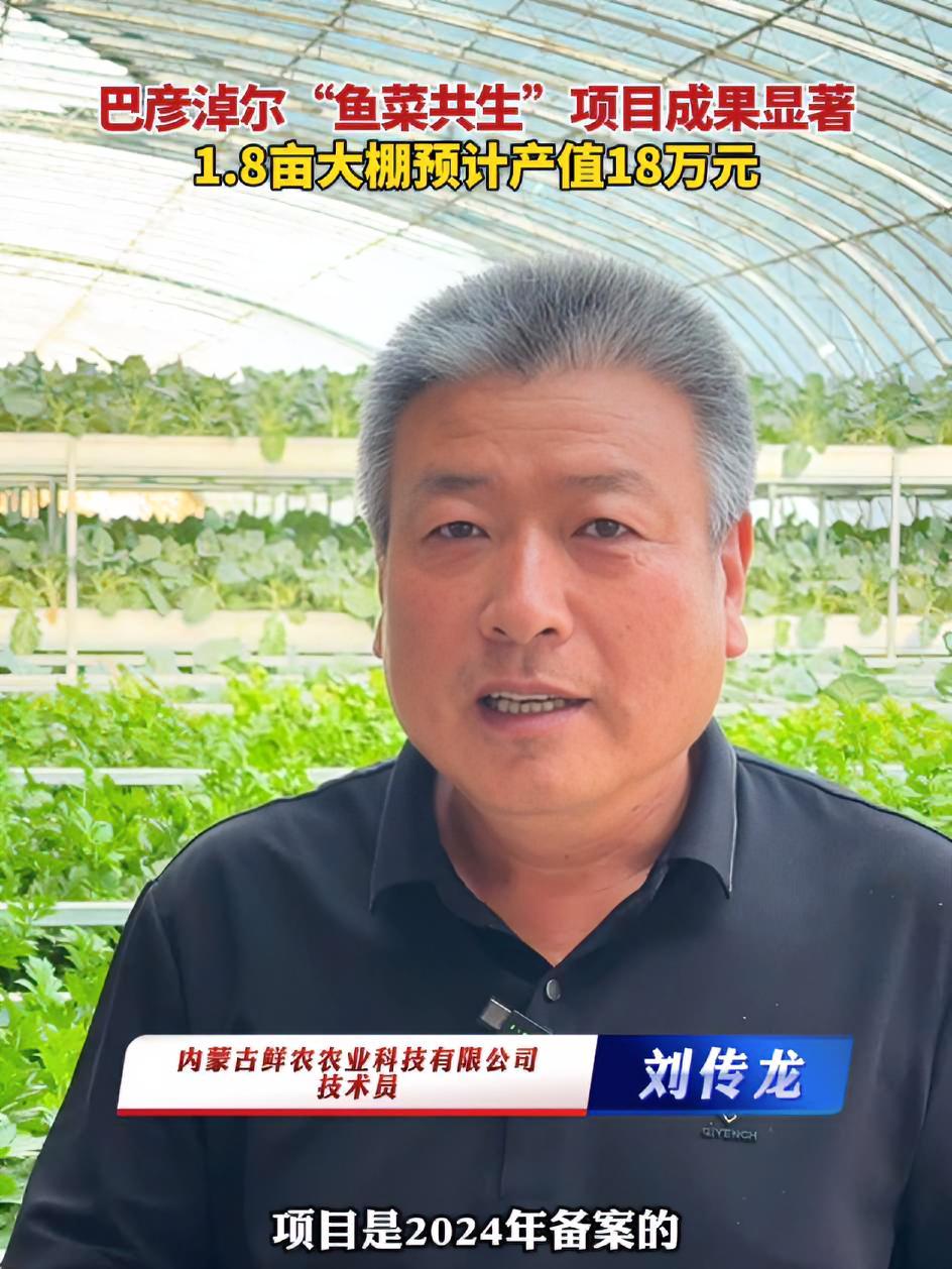 巴彦淖尔“鱼菜共生”项目成果显著,1.8亩大棚预计产值18万元 全面推进乡村振兴 生态农业