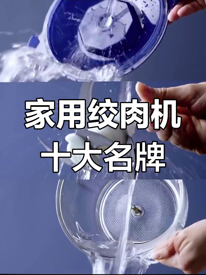 十大热门绞肉机品牌推荐,家用商用都适用