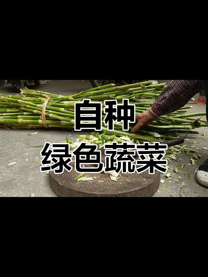 农村纯天然蔬菜,你认识吗?