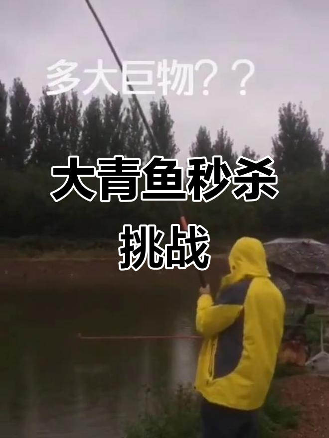 16号子线秒切大青鱼,追星草钓获满满