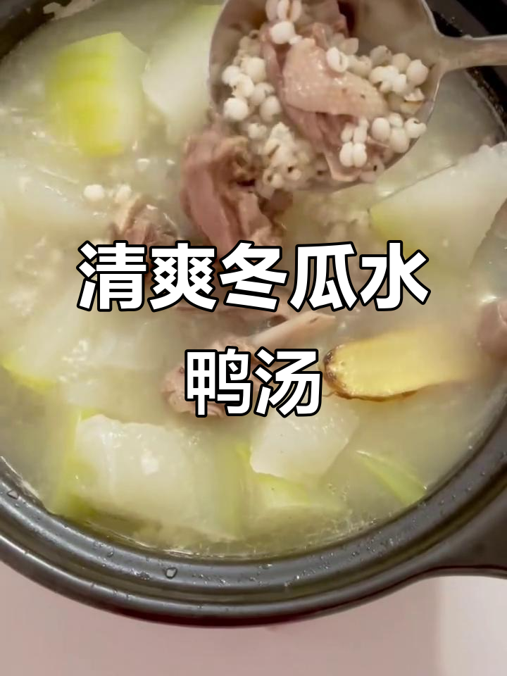 夏日清凉降暑汤，冬瓜薏米水鸭汤，去湿又美味