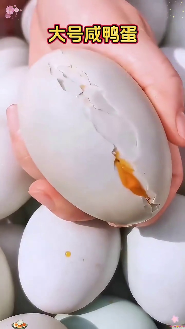 鸭蛋 端午节安康