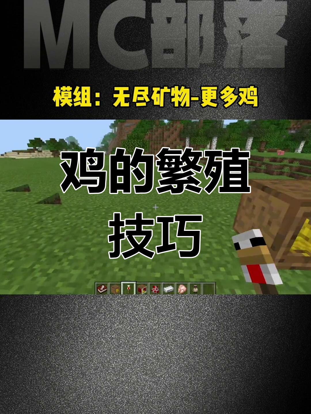 如何让更多鸡繁殖?从捕手到繁育箱全攻略