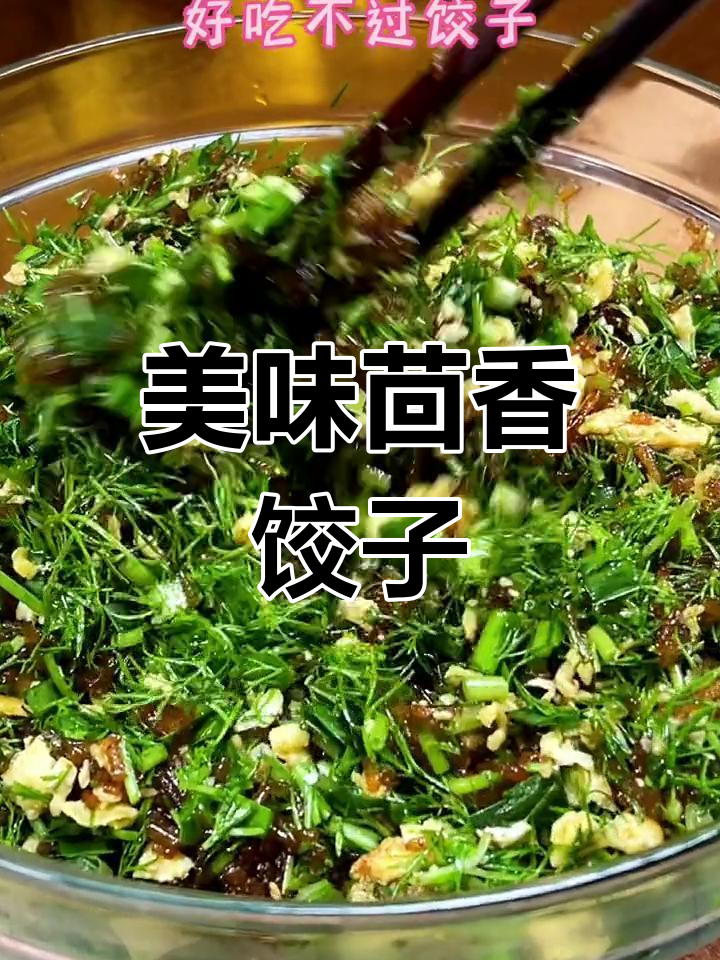 茴香素饺,鲜美十足,蒜泥蘸料更是绝配!