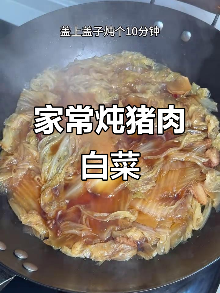 东北家常炖菜,猪肉白菜粉条一锅出