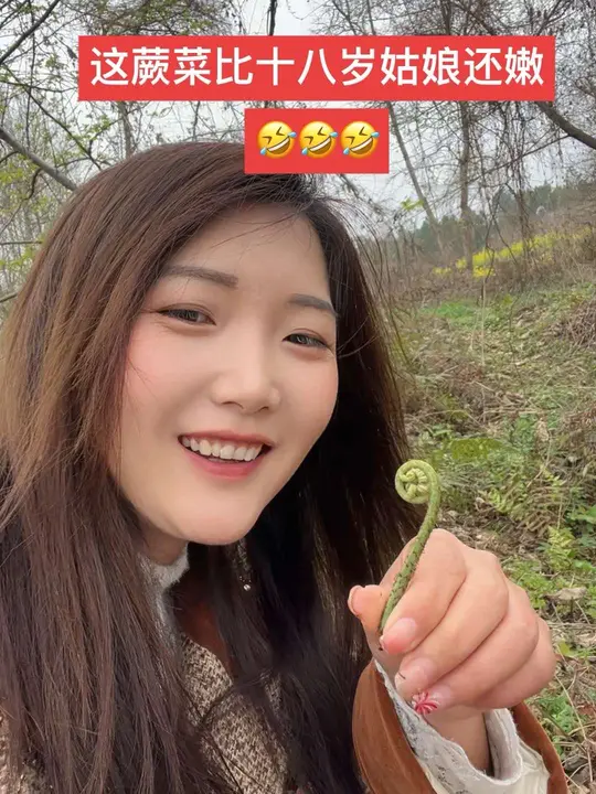 有人用腊肉换我挖到的家乡蕨菜吗?