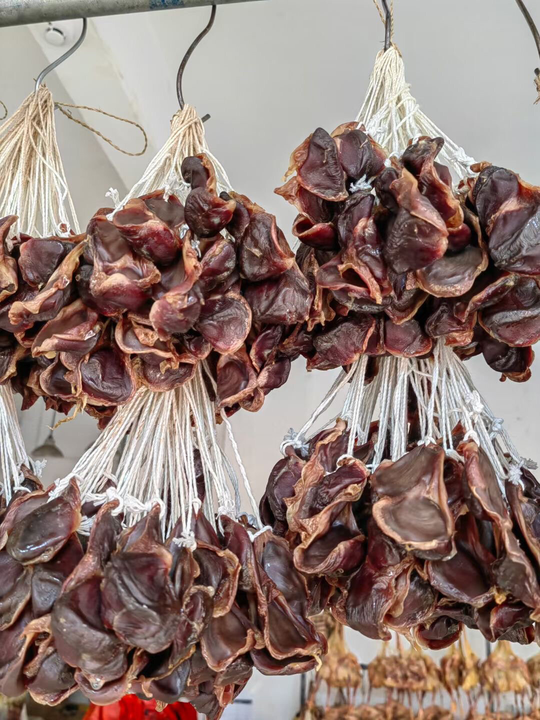 非常干透的腊鸭肾