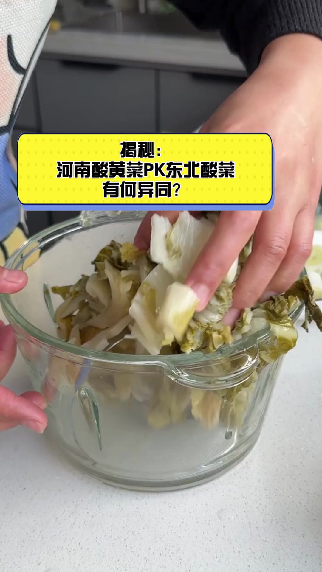 揭秘:河南酸黄菜PK东北酸菜,有何异同?
