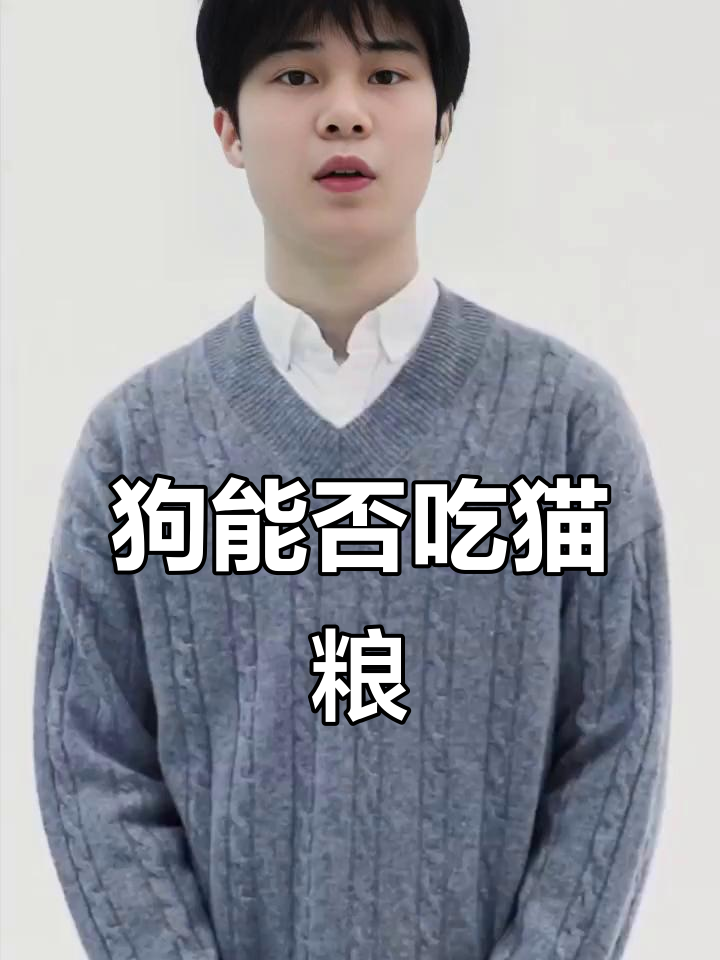 狗狗偶尔吃猫粮没问题，但长期喂食不可取！