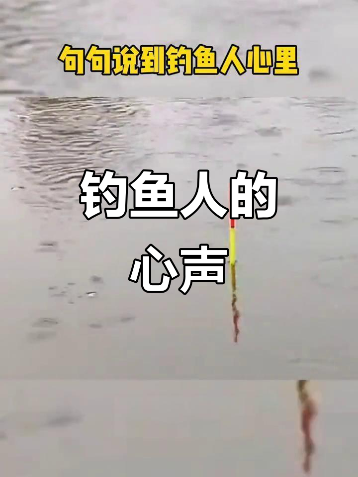 钓鱼人打油诗,钓箱一整就出发