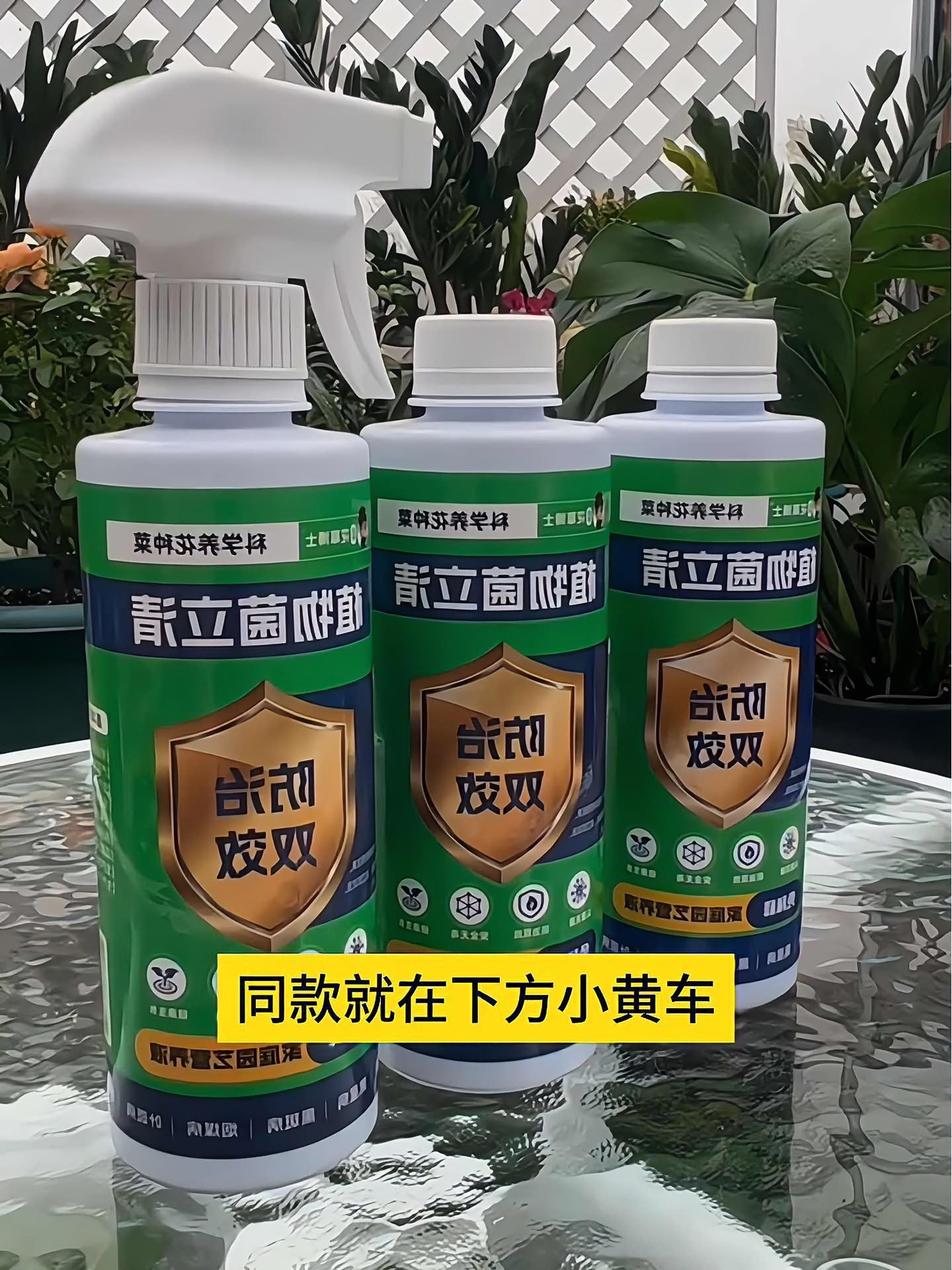 想要植物长得好,就用植物菌立清!绿植盆栽出现焦尖、黑斑病、炭疽病、叶枯病、锈斑病等,直接用
