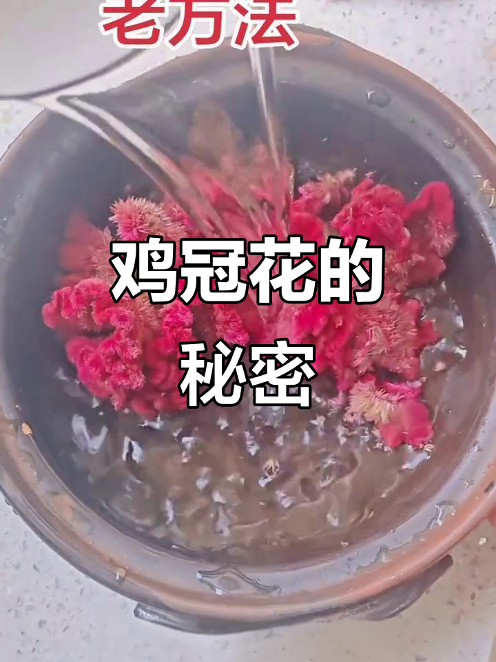 鸡冠花不仅是美丽象征,还有意想不到的保健功效