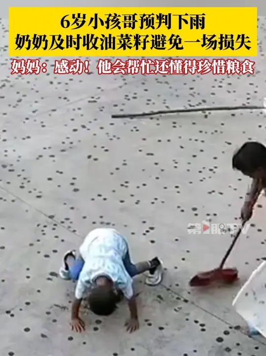 奶奶听劝及时收了油菜籽。妈妈：很惊讶也很感动，他很懂事会帮奶奶做事情，还懂得珍惜粮食！