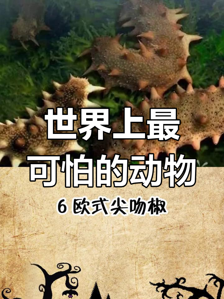 世界十大恐怖生物,看了让你做噩梦