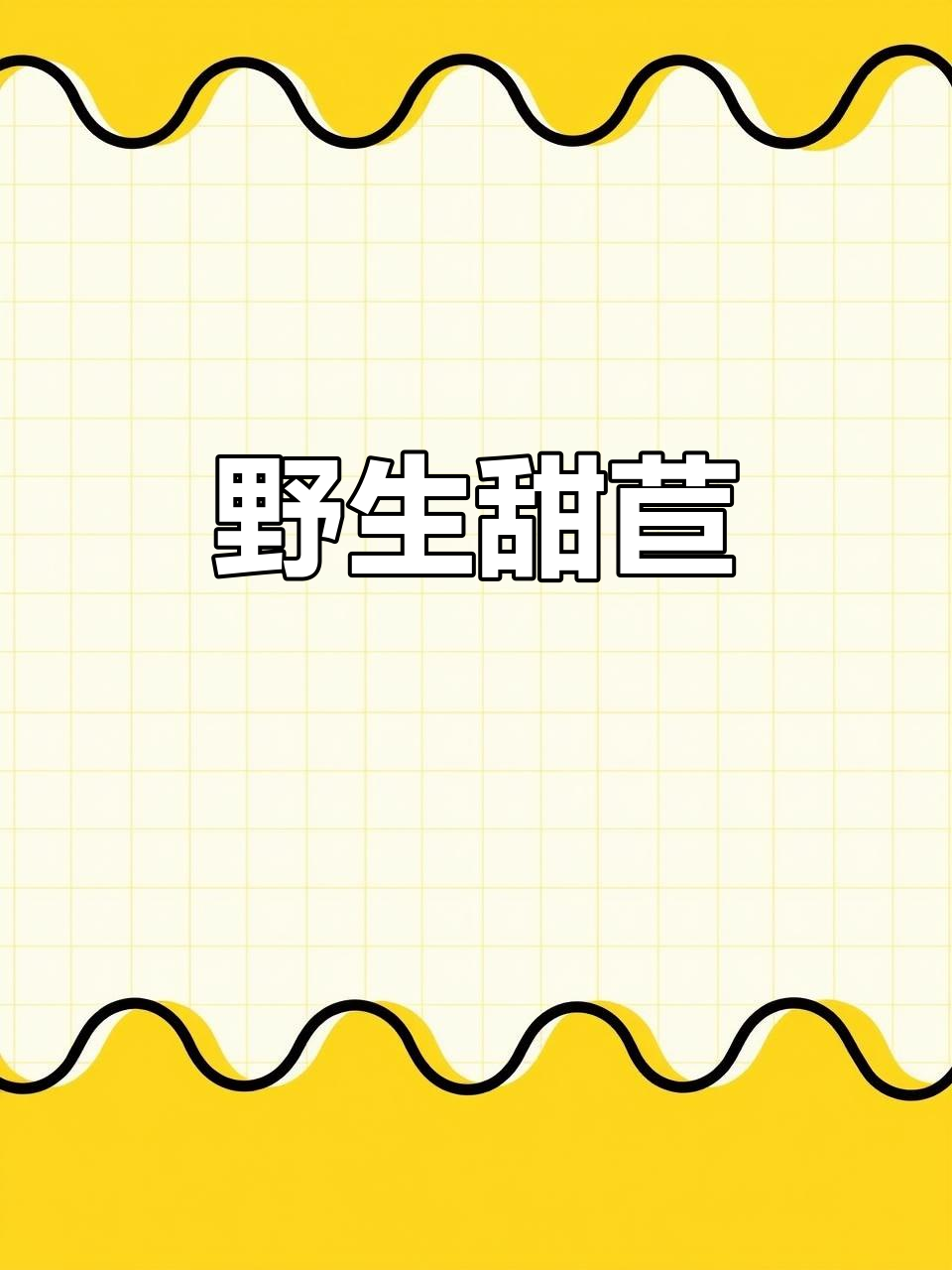 野生甜苣菜,纯天然无公害,知道的人不多哦!