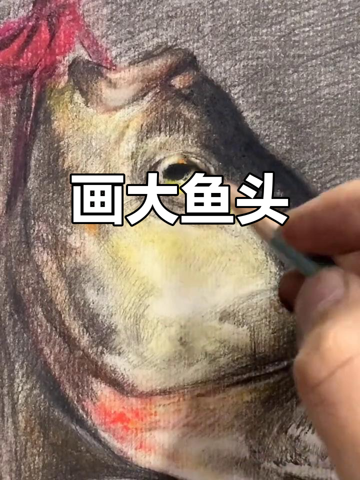 素描鱼头绘制技巧