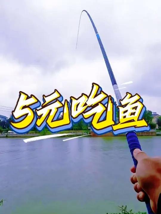 5元吃鱼，帮助钓友解决鱼获烦恼，今日鱼获一条爆护！