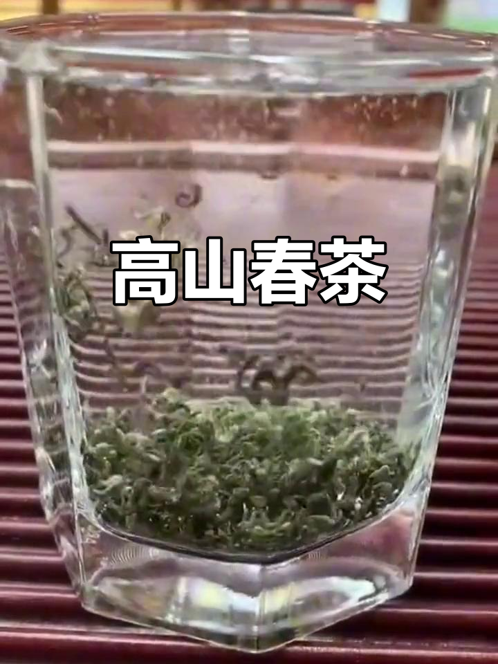 2023年春茶:高山云雾炒青绿茶,梅占独特风味