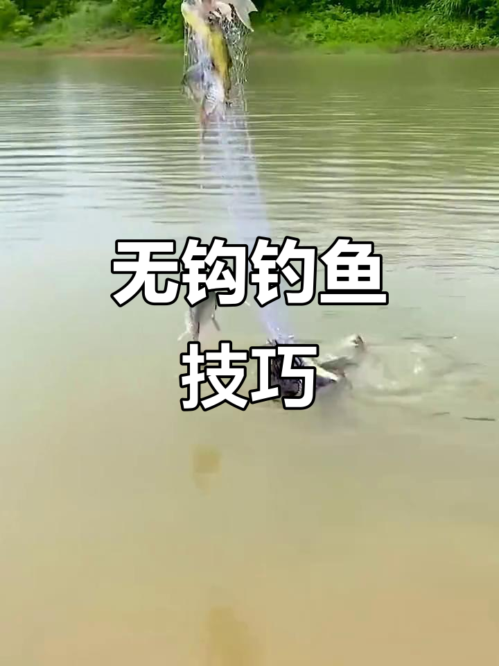 霸王捆捕鱼法:无需钩子,轻松一杆抓十几条