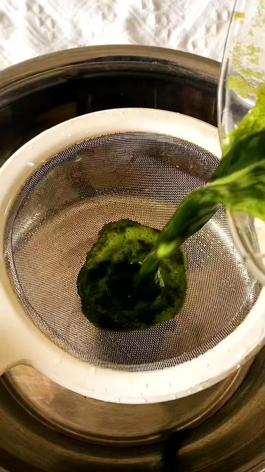 零失败艾草椰汁千层糕教程有就会