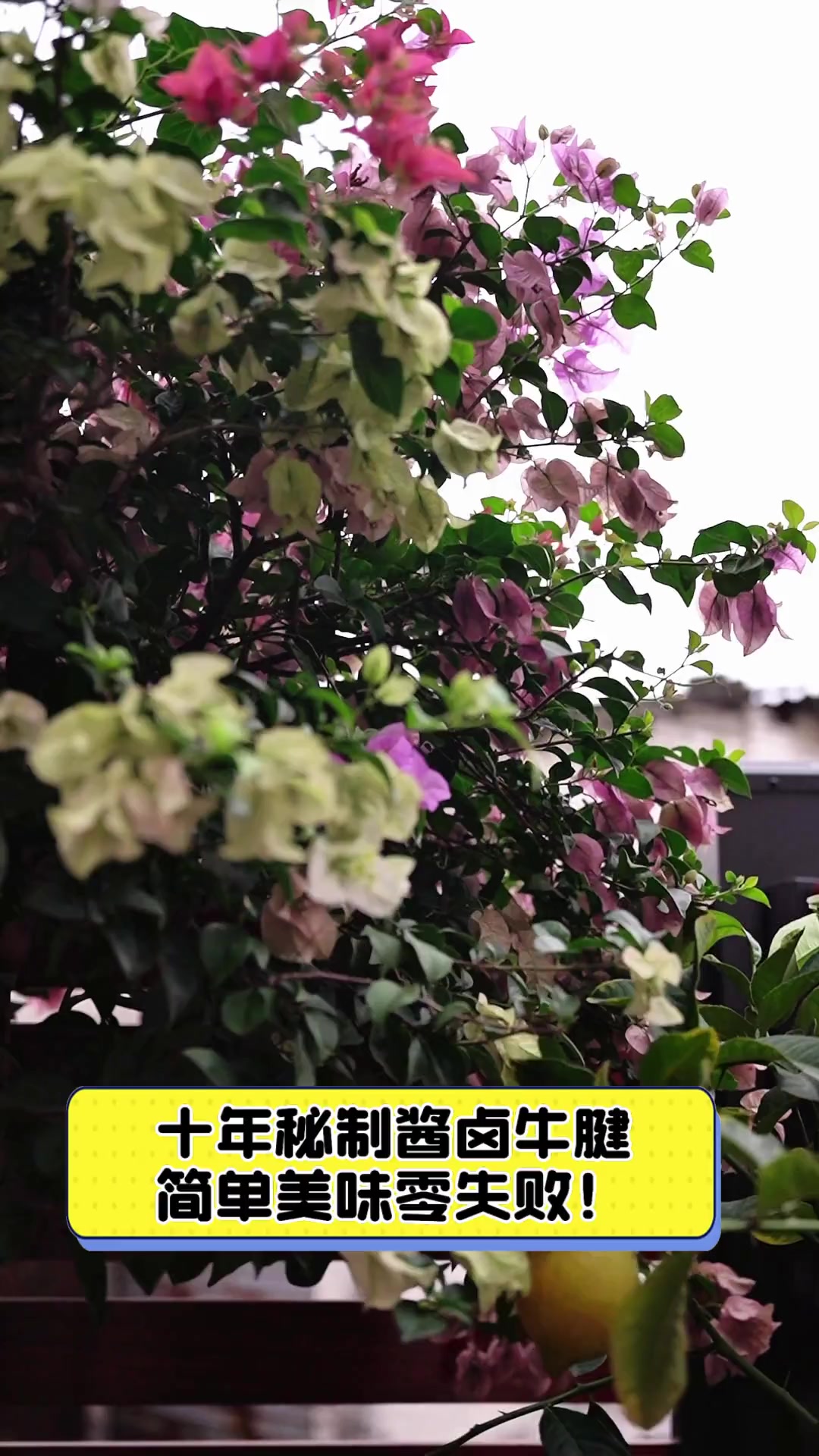 十年秘制酱卤牛腱,简单美味零失败!
