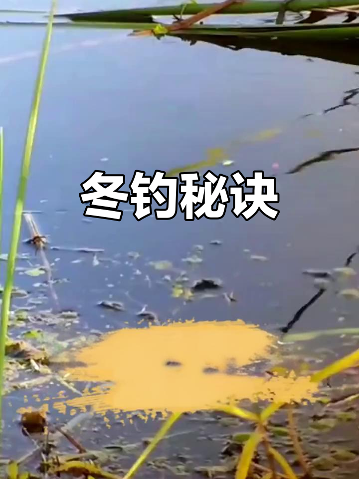 冬季钓鱼,先找鱼!掌握技巧才能事半功倍