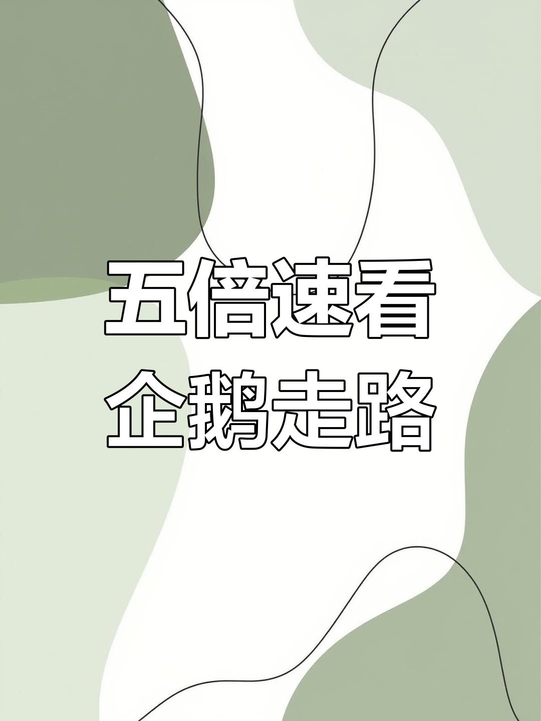 企鹅走路五倍速,竟然像是在震动模式中跳舞!
