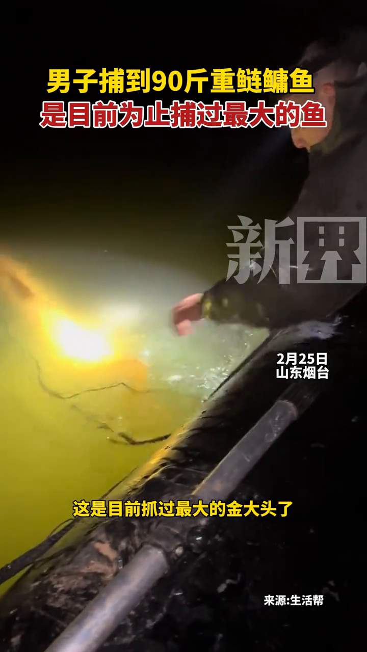 男子捕到90斤重鲢鳙鱼,是目前为止捕过最大的鱼