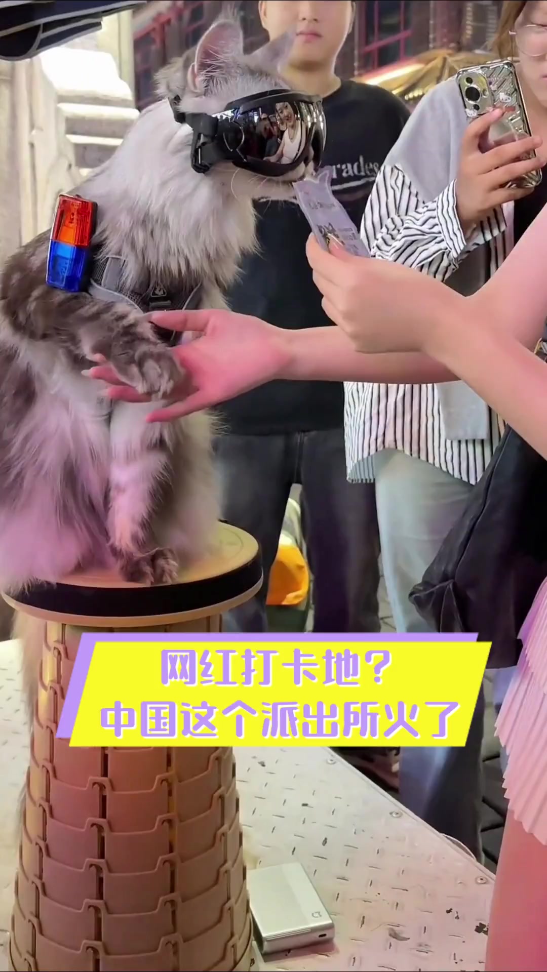 网红打卡地?中国这个派出所火了