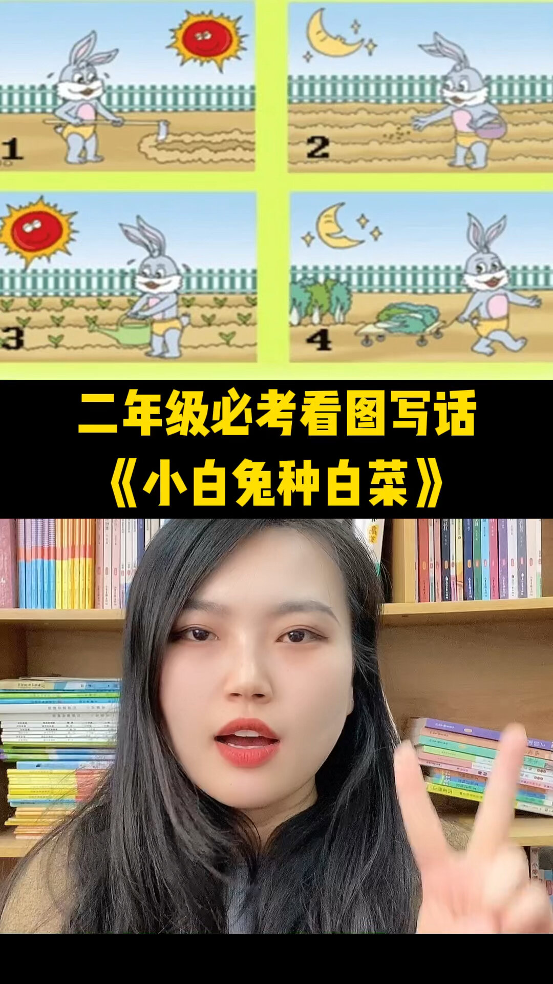 二年级必考看图写话《小白兔种白菜》