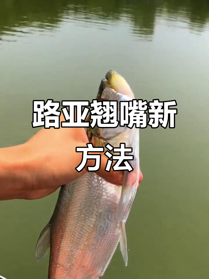 路亚翘嘴新技巧,浮力球搭配泥鳅钩轻松钓获