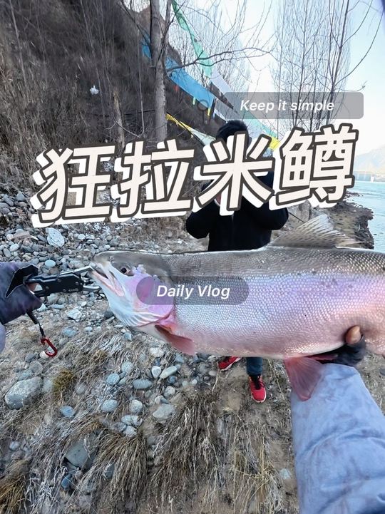 路亚永不言败.请看VCR,惊现米鳟米级鳟鱼米鳟龙羊峡大峡谷