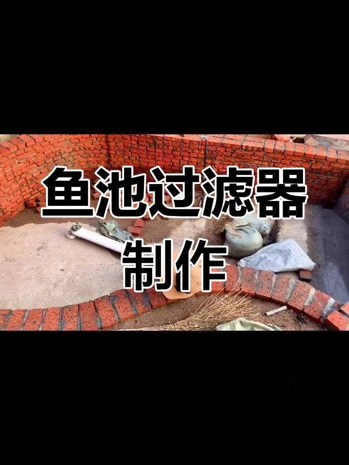 鱼池过滤系统全解析:从底管到清水仓的搭建过程