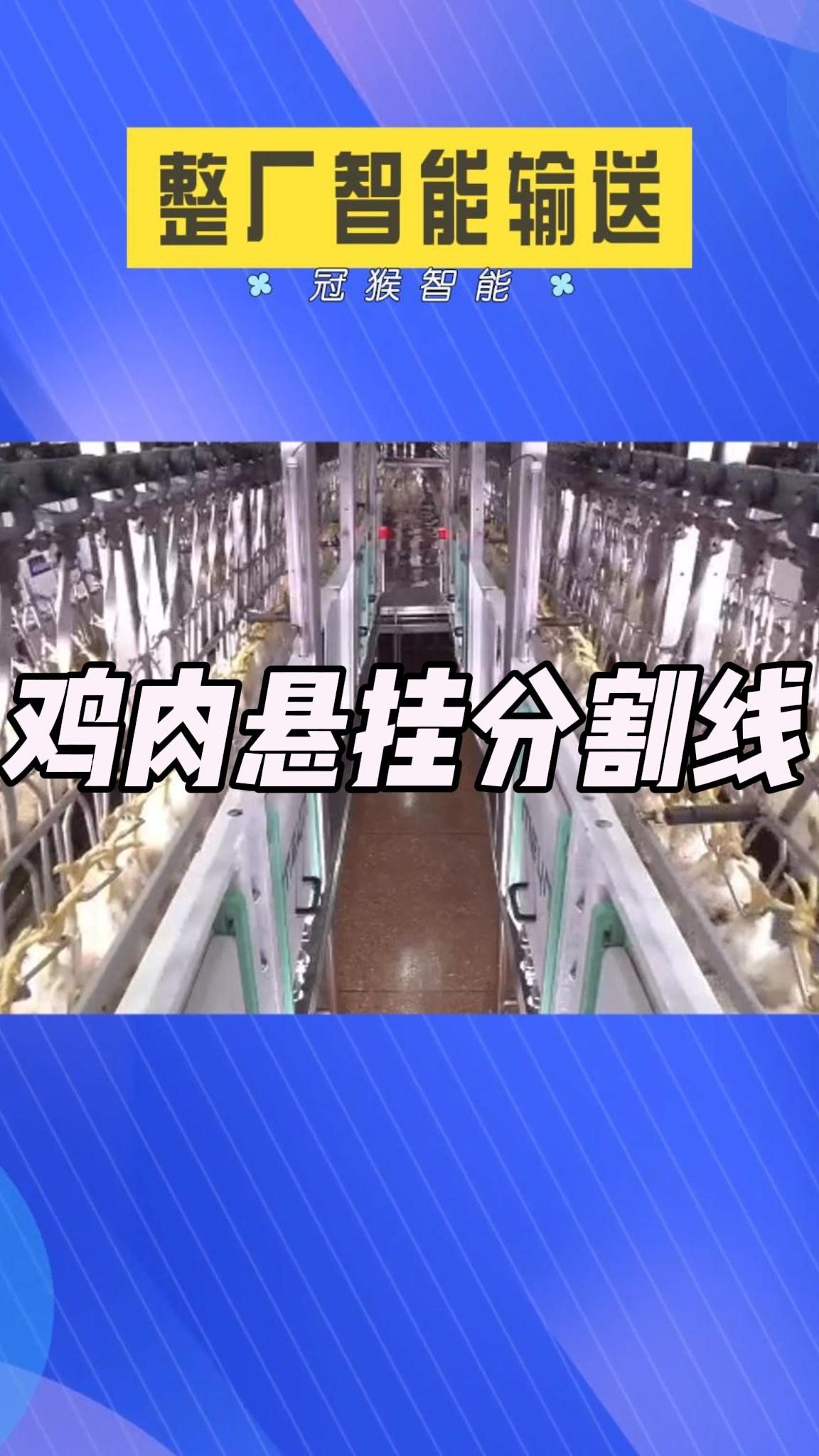 鸡肉悬挂链分割线