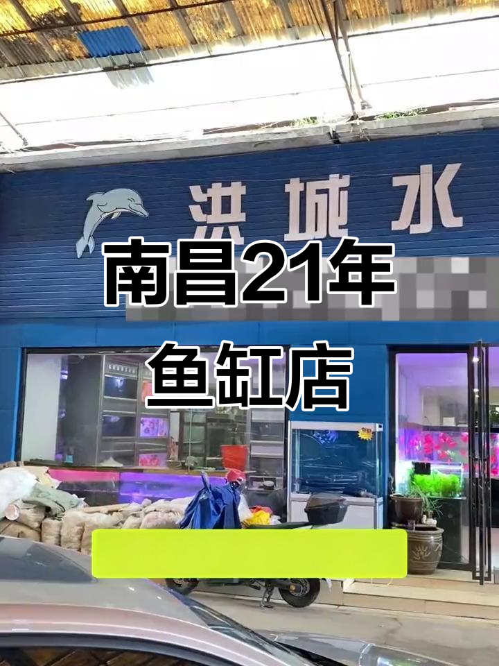 南昌21年老店,买鱼缸送养鱼技巧,专业师傅上门服务