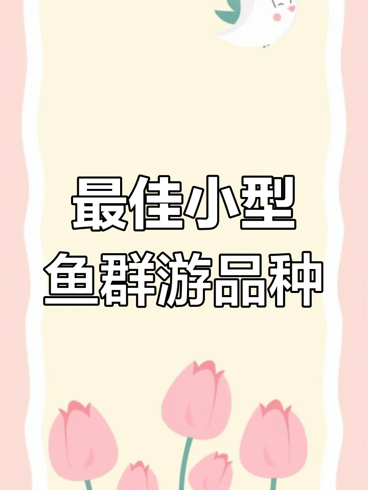 小型热带鱼群游推荐,哪些品种最能带来观赏乐趣