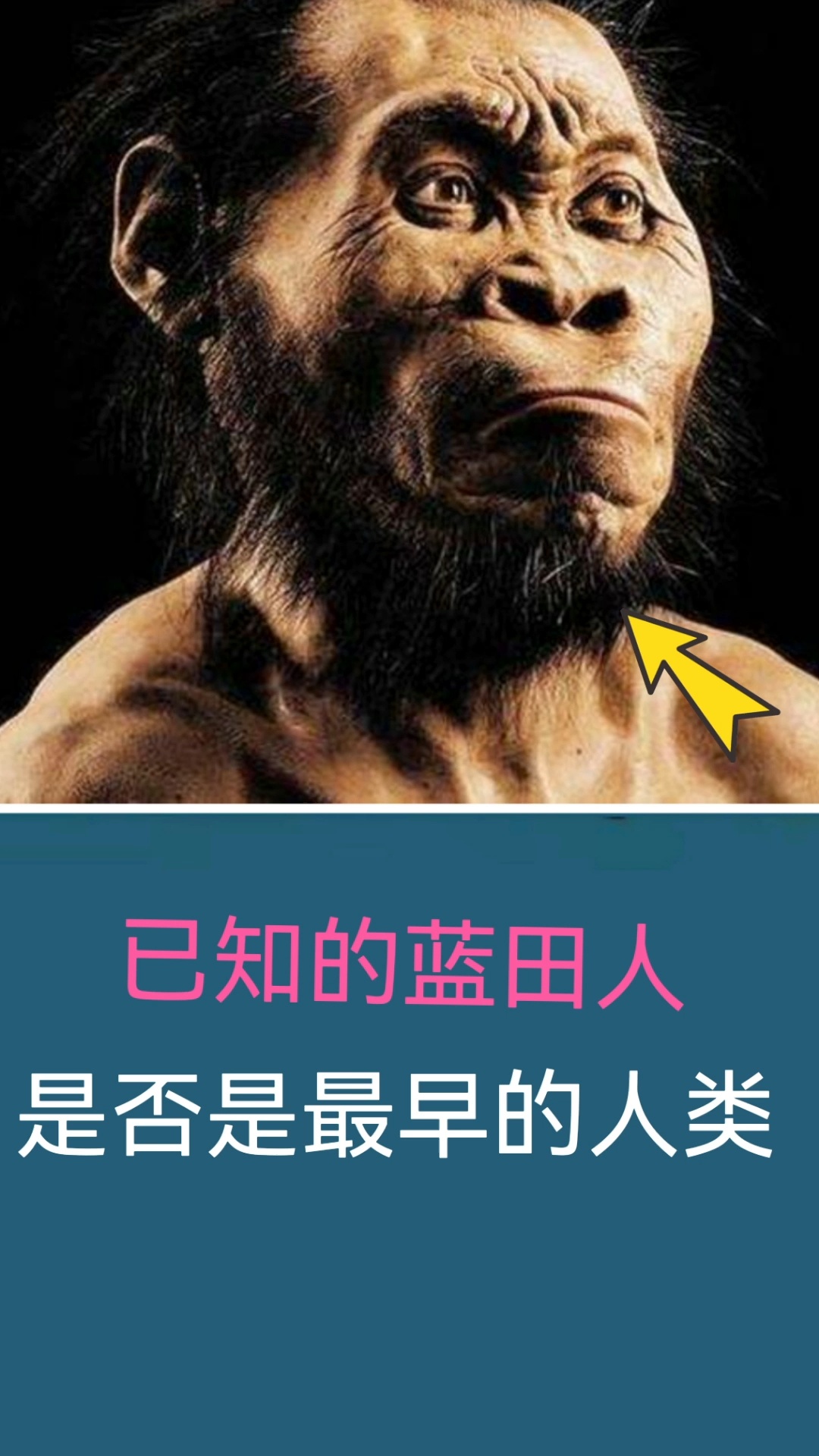 猿人进化史