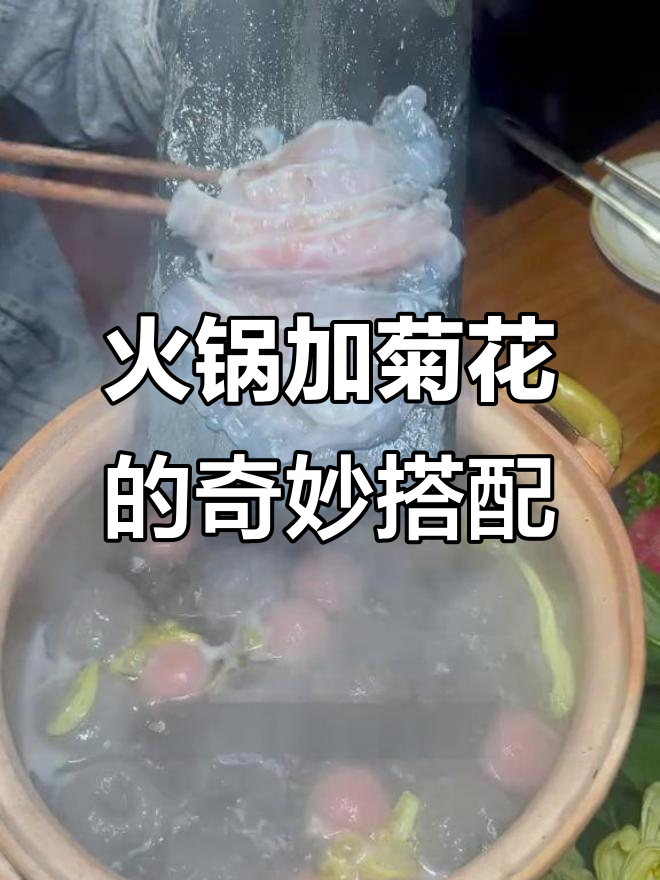 火锅配菊花,汤底竟然是药膳!吃完这顿,感觉整个人都清爽了