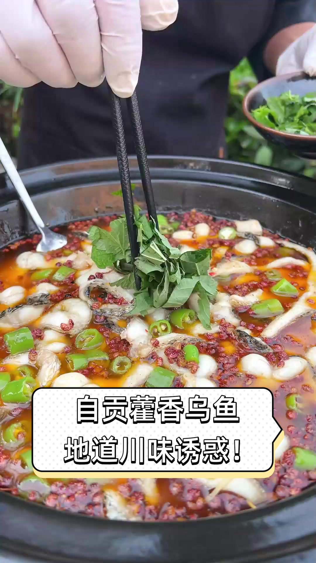 自贡藿香乌鱼,地道川味诱惑!