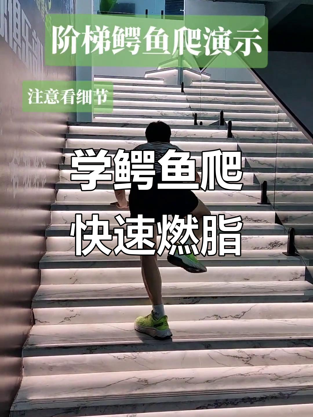 鳄鱼爬动作,轻松燃脂瘦身,告别腰椎疼痛