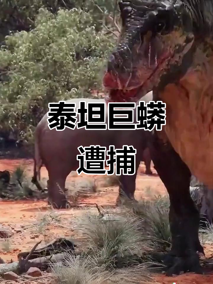 泰坦巨蟒偷袭霸王龙,哥斯拉怒追猛蛇!