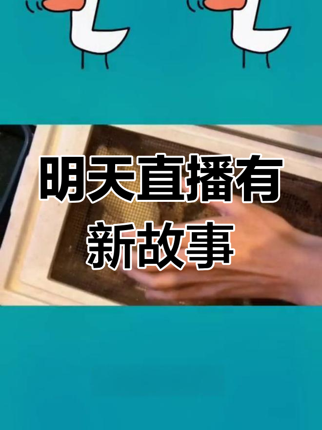 回归直播,惊喜不断!鸭蛋孵化器也到了