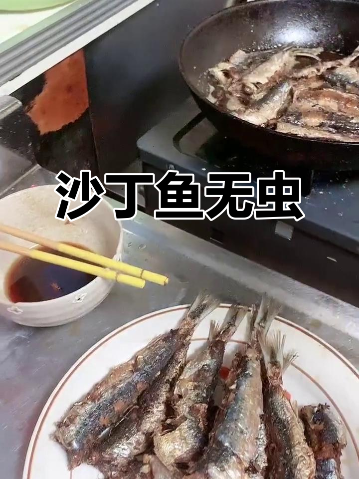 沙丁鱼和鲅鱼的真相,原来它没有虫子!